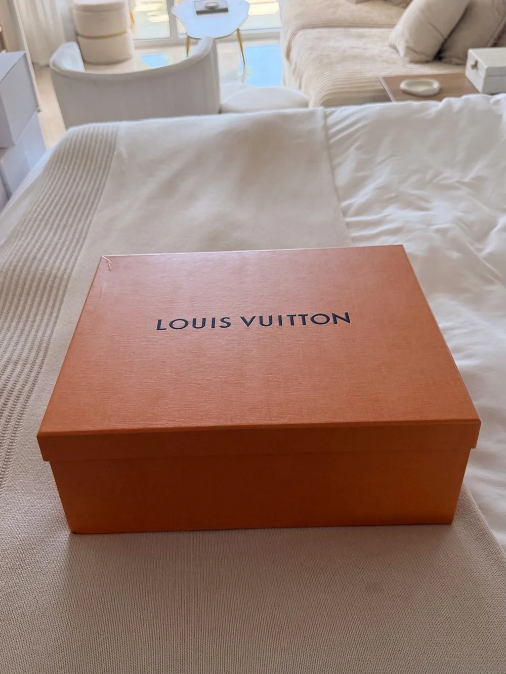 Authentic Louis Vuitton Empty Shoe Box + Shopping Bag